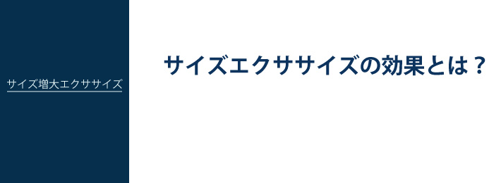 サイズ増大エクササイズ