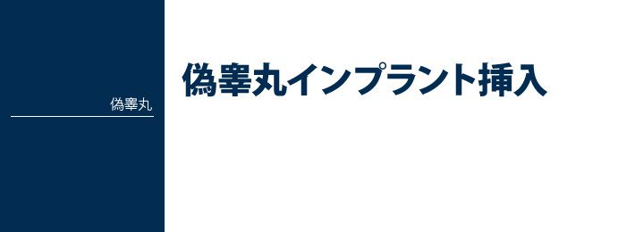 偽睾丸【人工睾丸】インプラント挿入