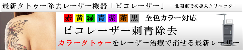 刺青・タトゥー除去 レーザー法について詳しくはこちら