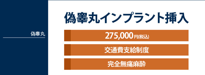 偽睾丸【人工睾丸】インプラント挿入
