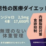 マンジャロ 男性の医療ダイエット 食欲抑制 内臓脂肪対策 大宮中央クリニック
